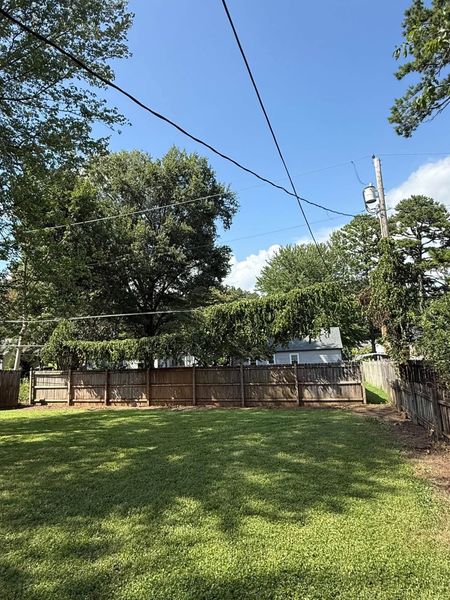 Shaded backyard with green lawn, trees, wooden fence, and power lines under a clear blue sky