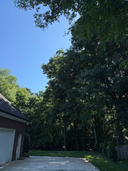 Driveway beside a brick house, bordered by tall trees under a clear blue sky.