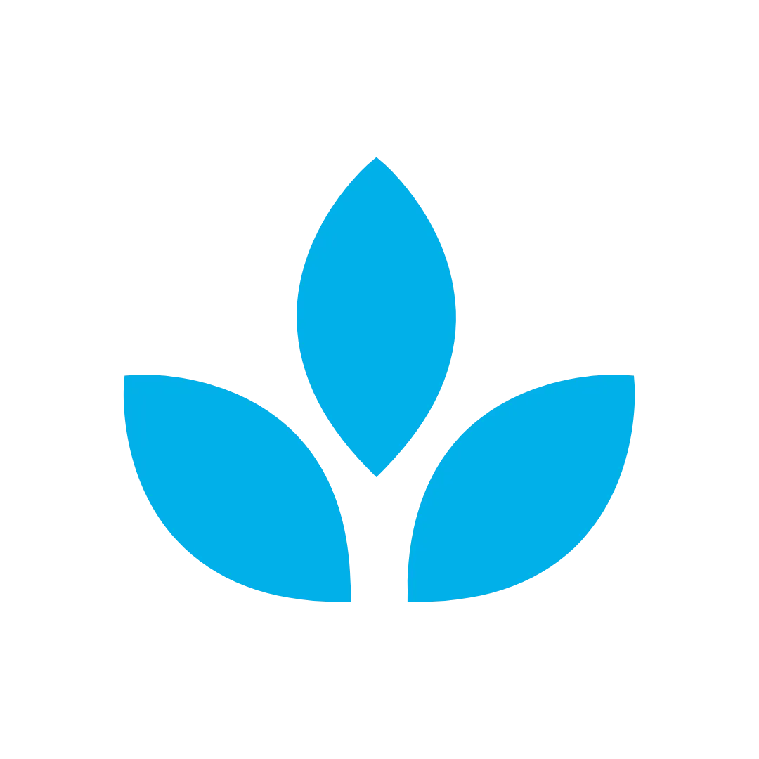 A blue flower with three leaves on a white background.