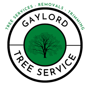 Lansing Tree Service - Lansing Michigan