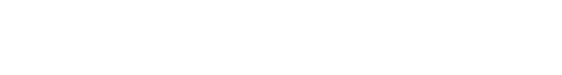 Destination Wealth Logo