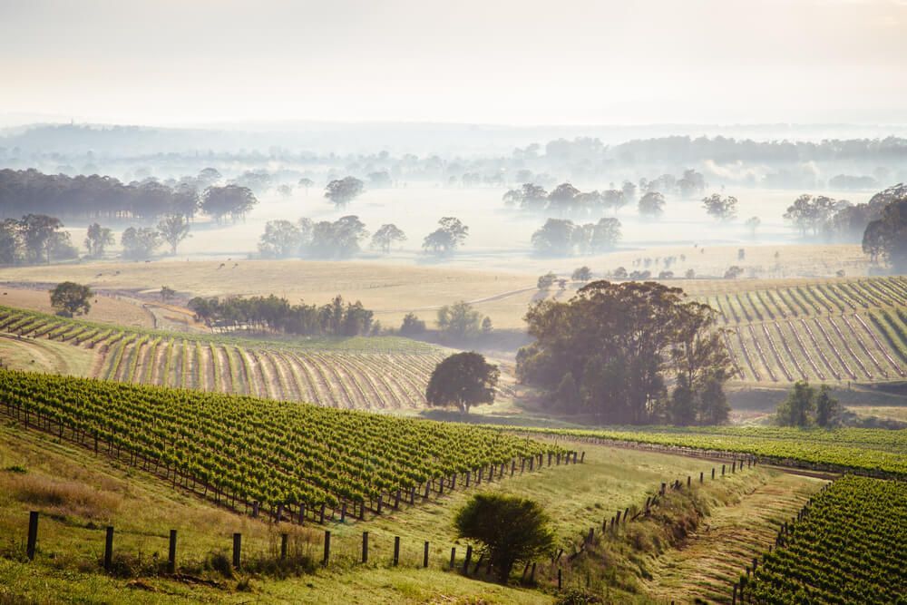 View of Farm in Hunter Valley — Windscreen Replacement Hunter Valley