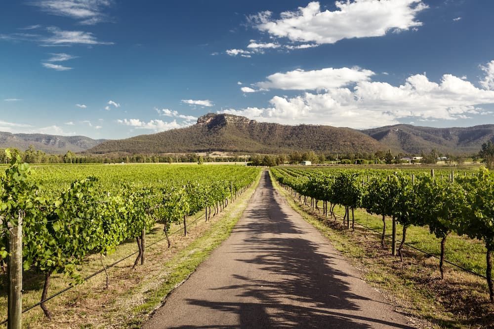 Vineyards — Windscreen Replacement Cessnock