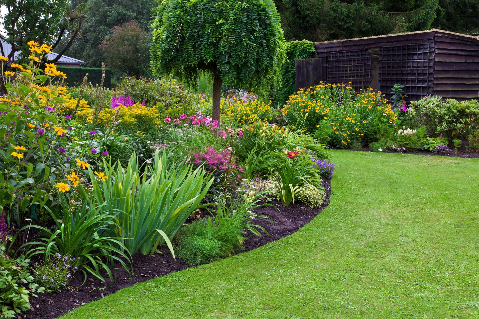 Green lawn in a colorful landscaped formal garden. Beautiful Garden.