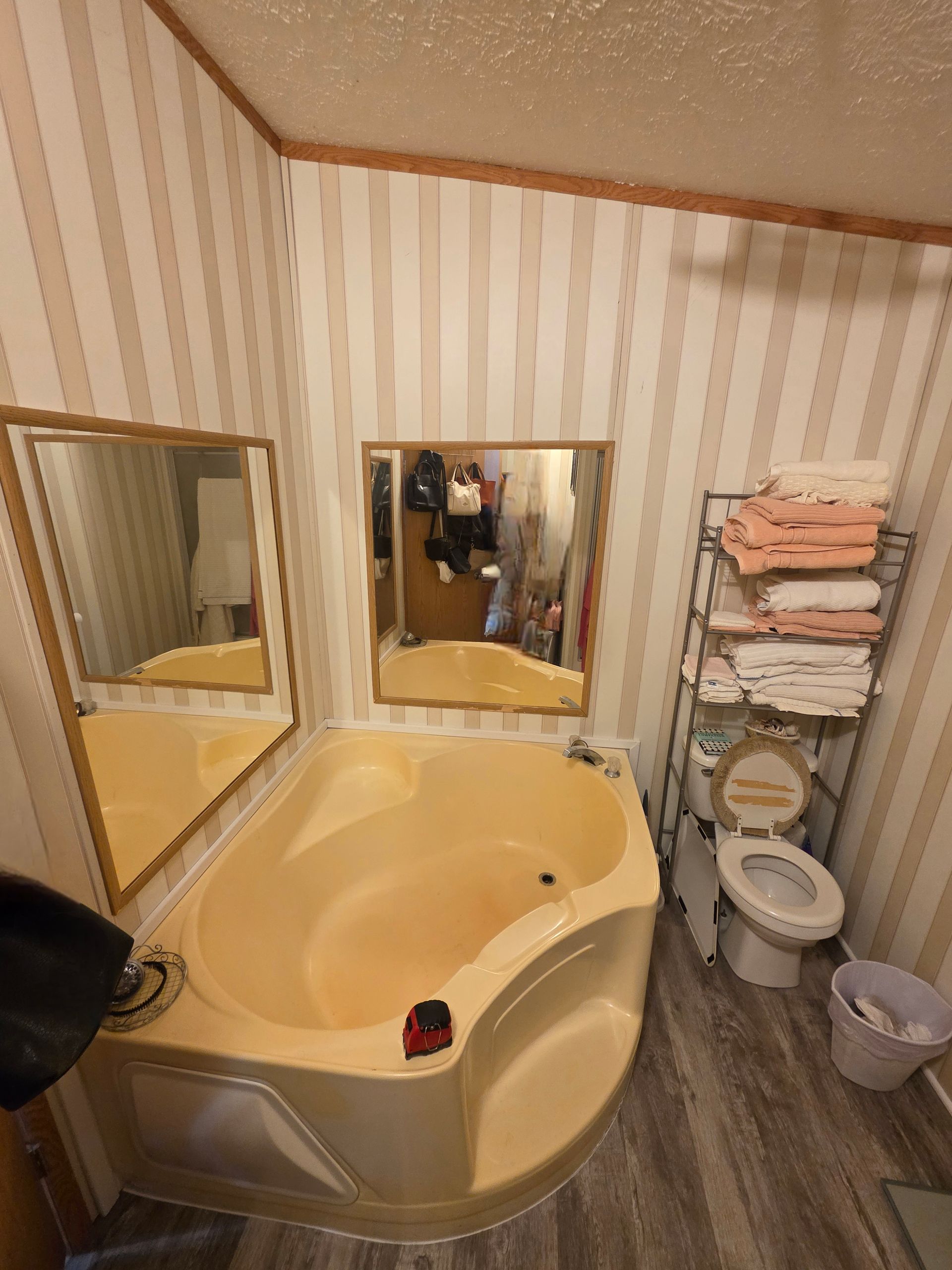 Bathroom with corner jacuzzi tub, mirrors, and a towel rack next to a toilet.