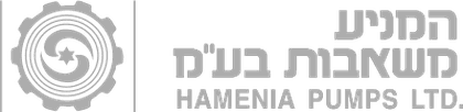 Hamenia Pumps
