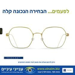 עבודת שיווק: לינדברג בחירות, integral