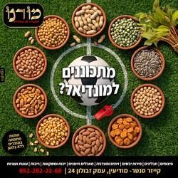 עבודת שיווק: מונדיאל, integral