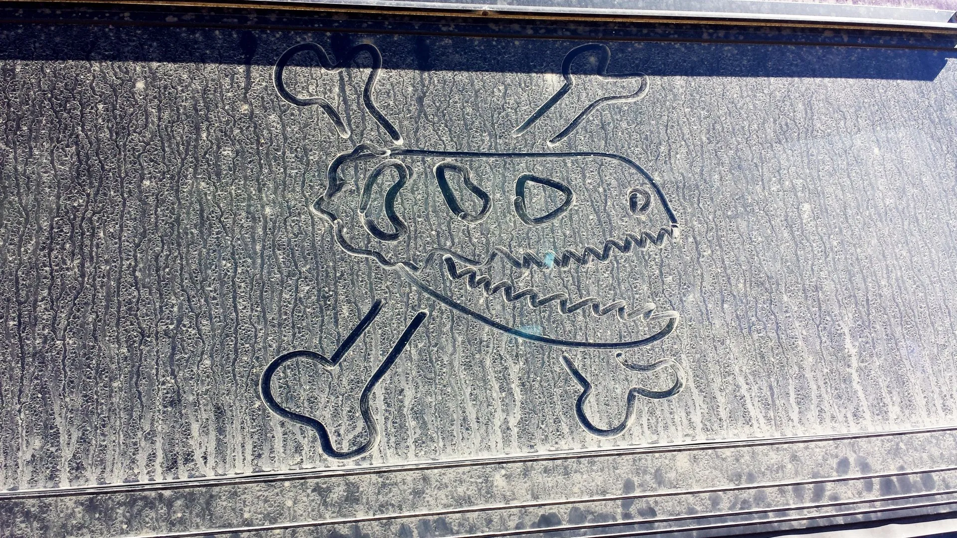 The Essential Geologist's Day Pack What To Bring to Your Field Site