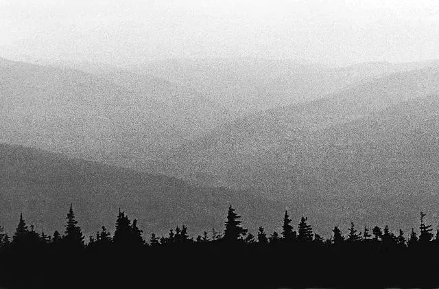 Picture Grain — Williamson, NY — Paleopix Picture Grain — Williamson, NY — Paleopix