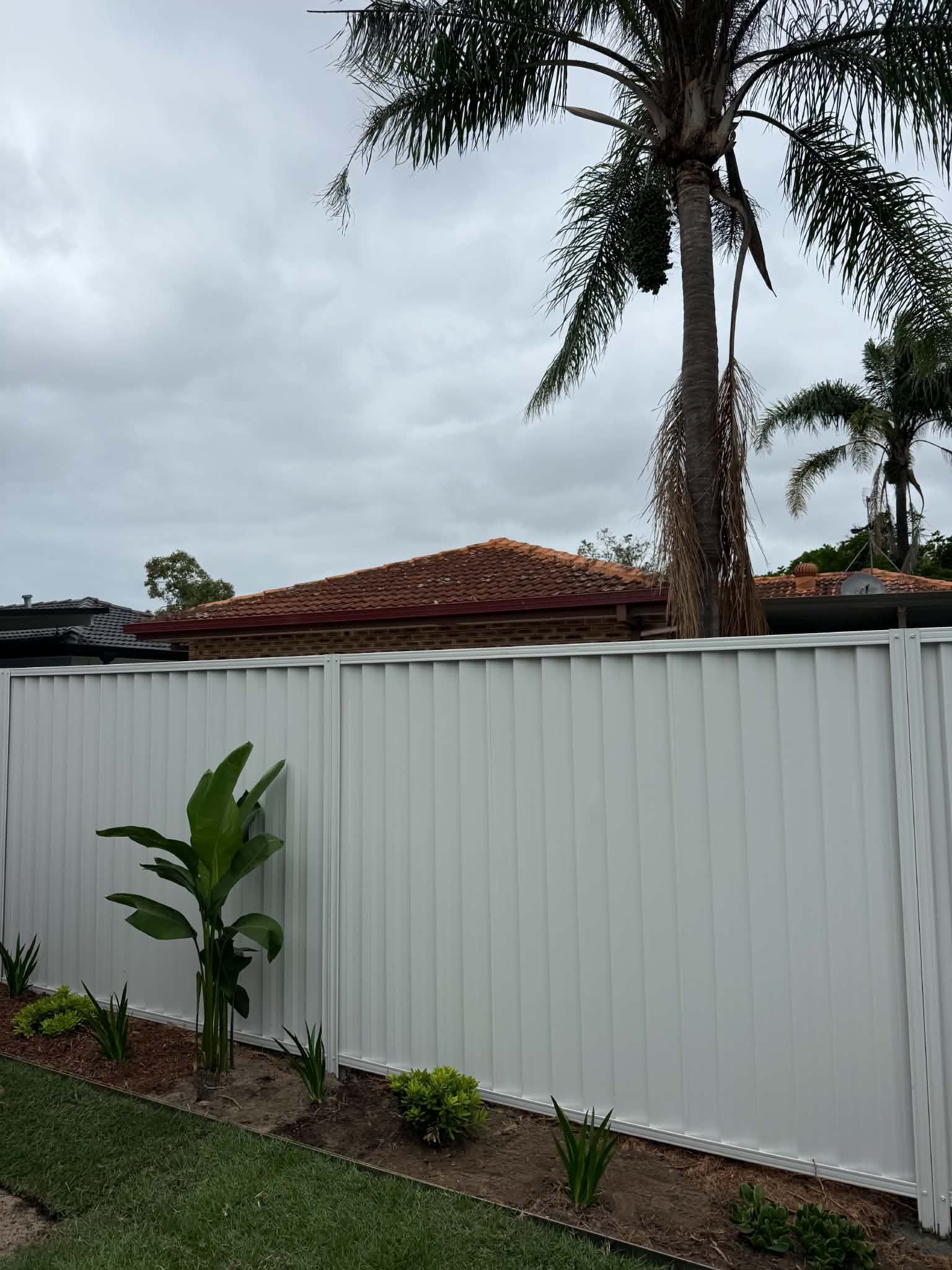 White fence in front of a red-tiled house, with a palm tree and small plants in a yard.
