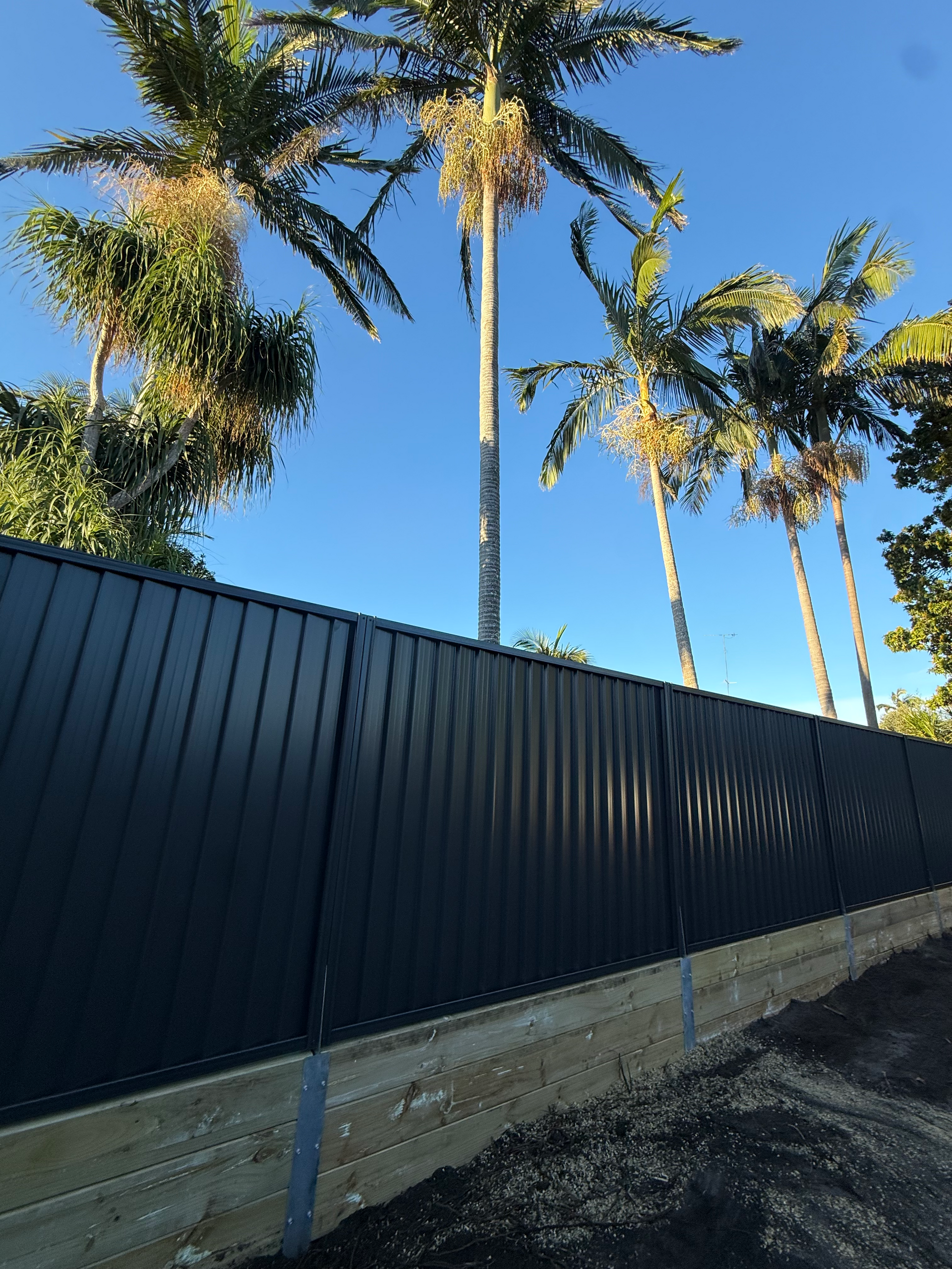 Tall black fence along a dirt road with palm trees against a clear blue sky