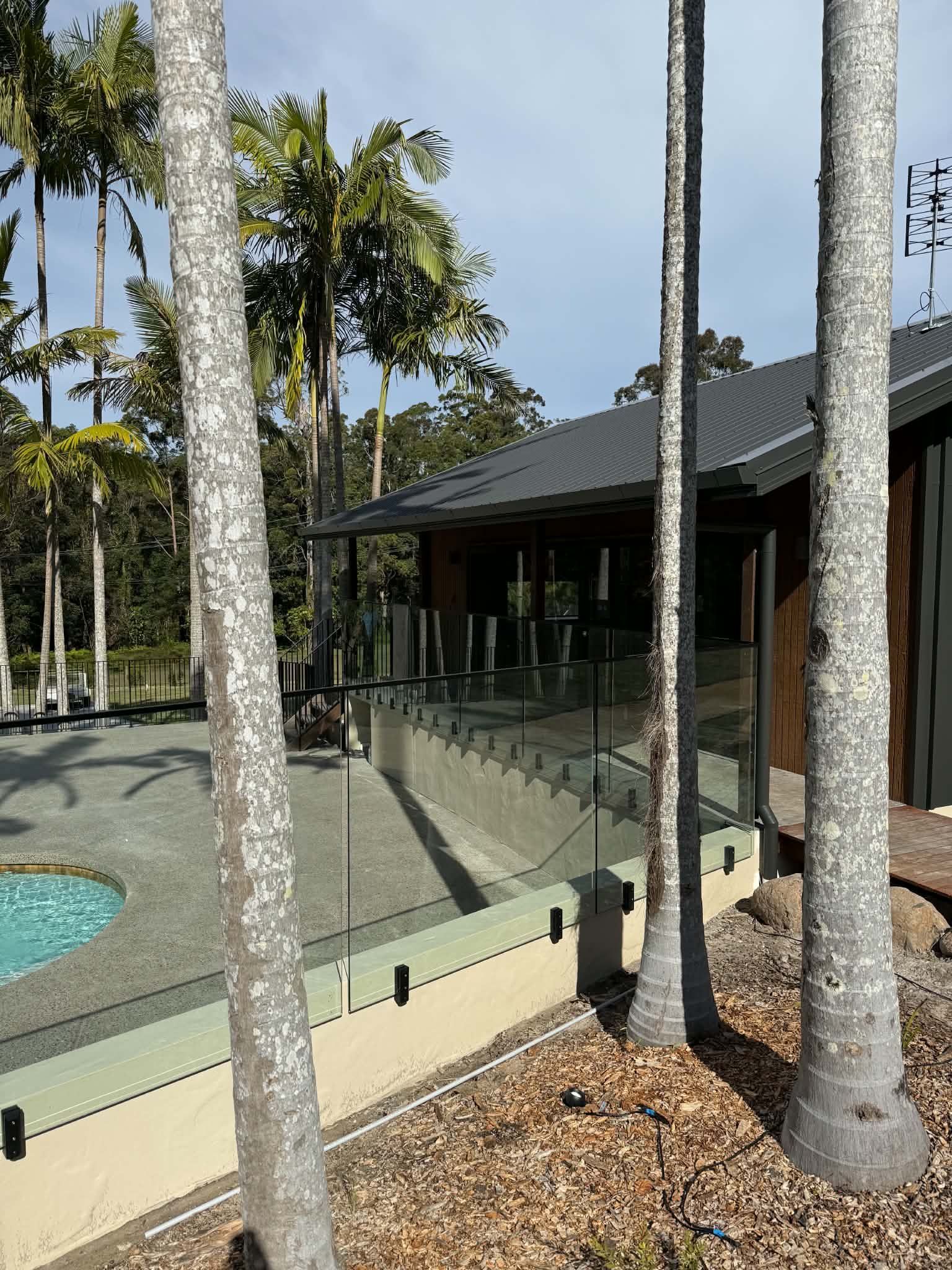 Modern house with glass railing and pool beside tall palm trees in a sunny yard