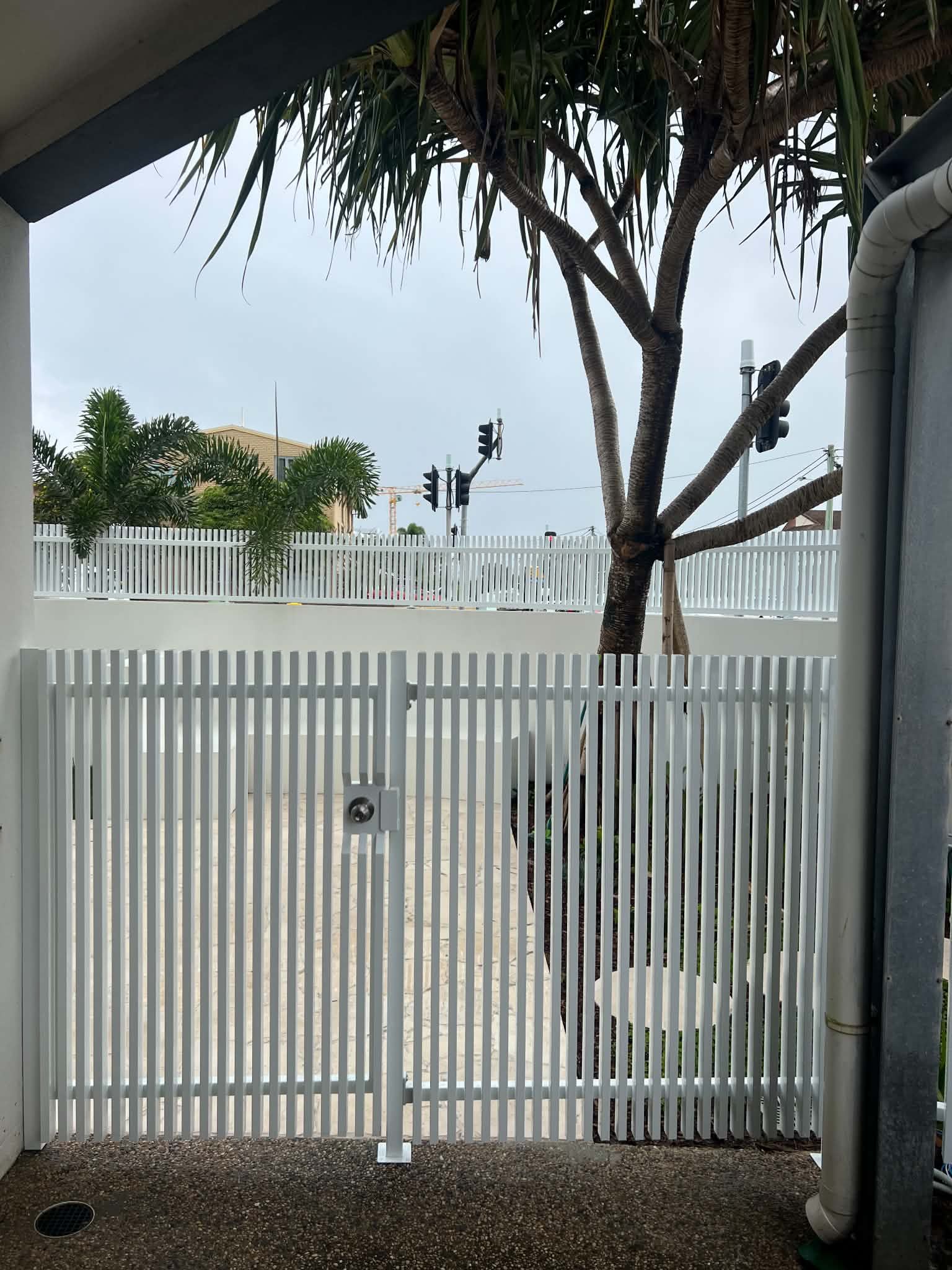 White vertical-slat gate in a fenced yard with a tree and overcast sky beyond