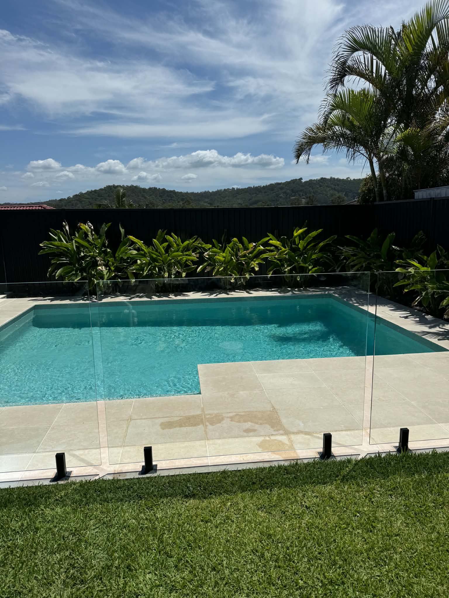 Backyard pool with turquoise water, white stone deck, green lawn, and tropical plants under a blue sky