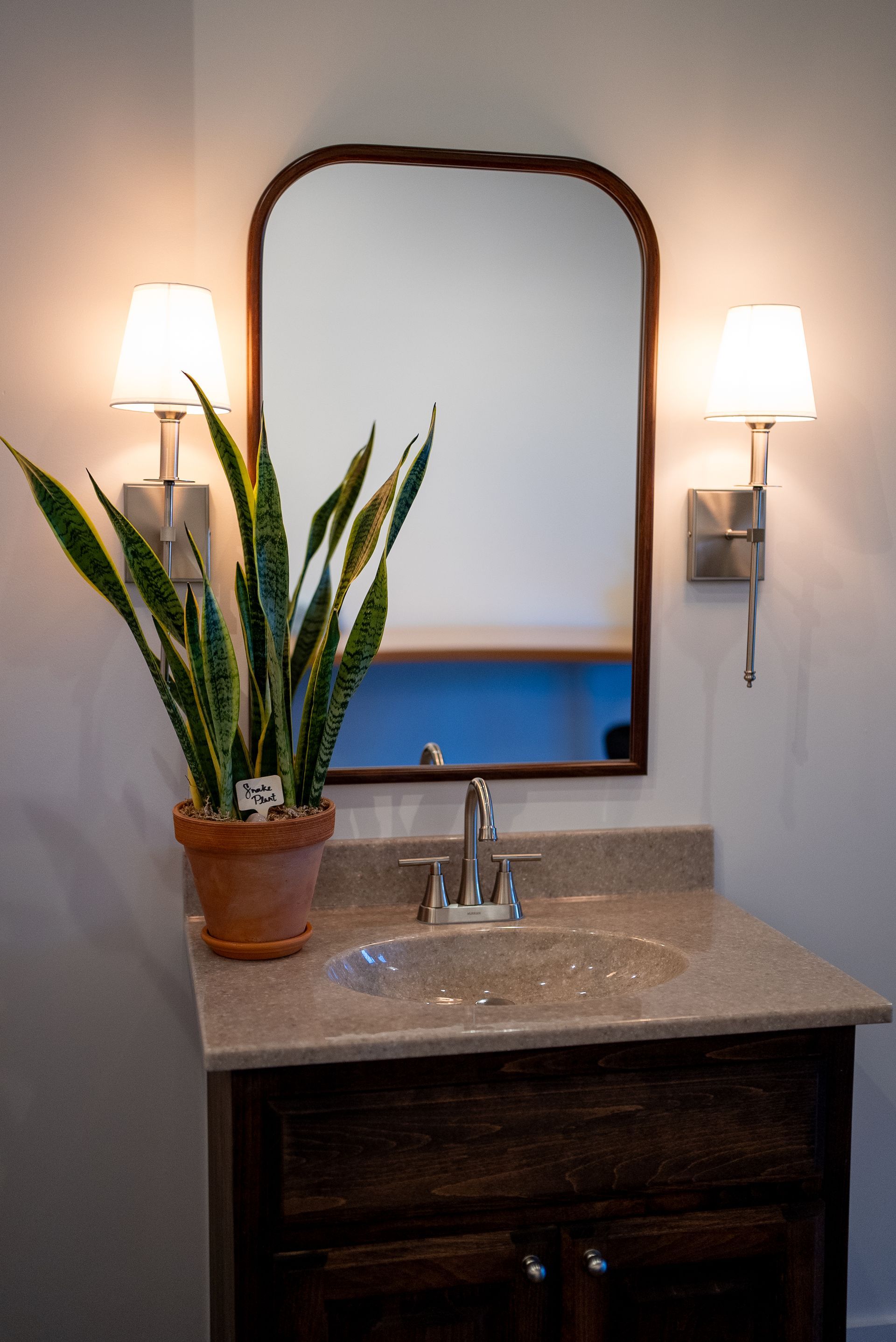 Bathroom vanity with mirror, sconce lights, and potted snake plant.
