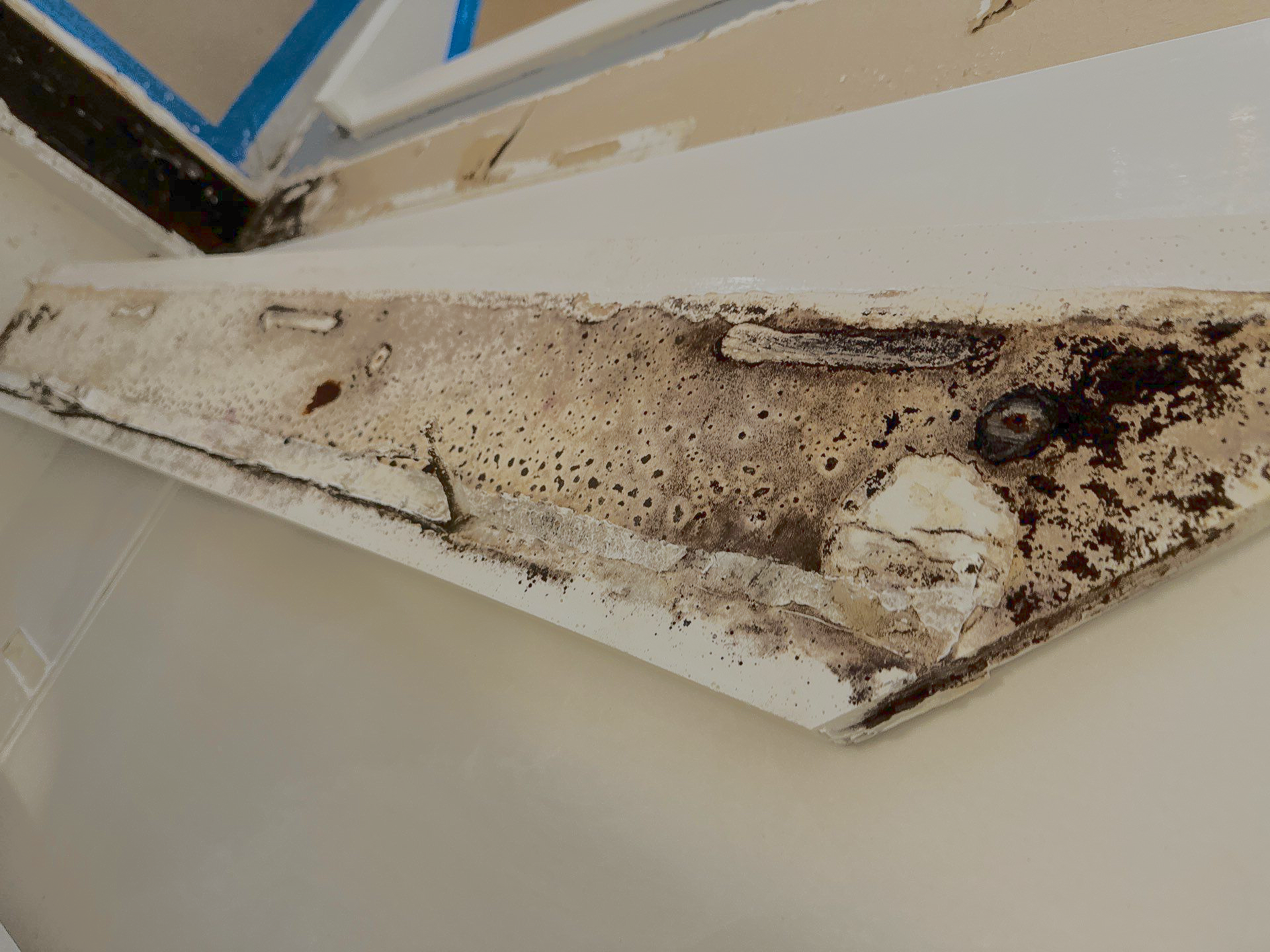 Moldy Shower Panel Piece 