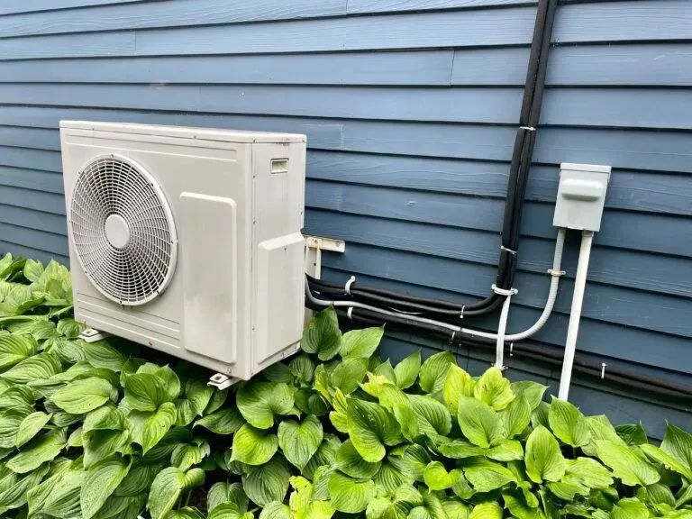 A light-colored outdoor air conditioning unit sits against blue siding, partially surrounded by green leafy plants.
