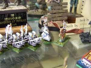 Product Displays | San Antonio, TX | Dibble’s Hobbies