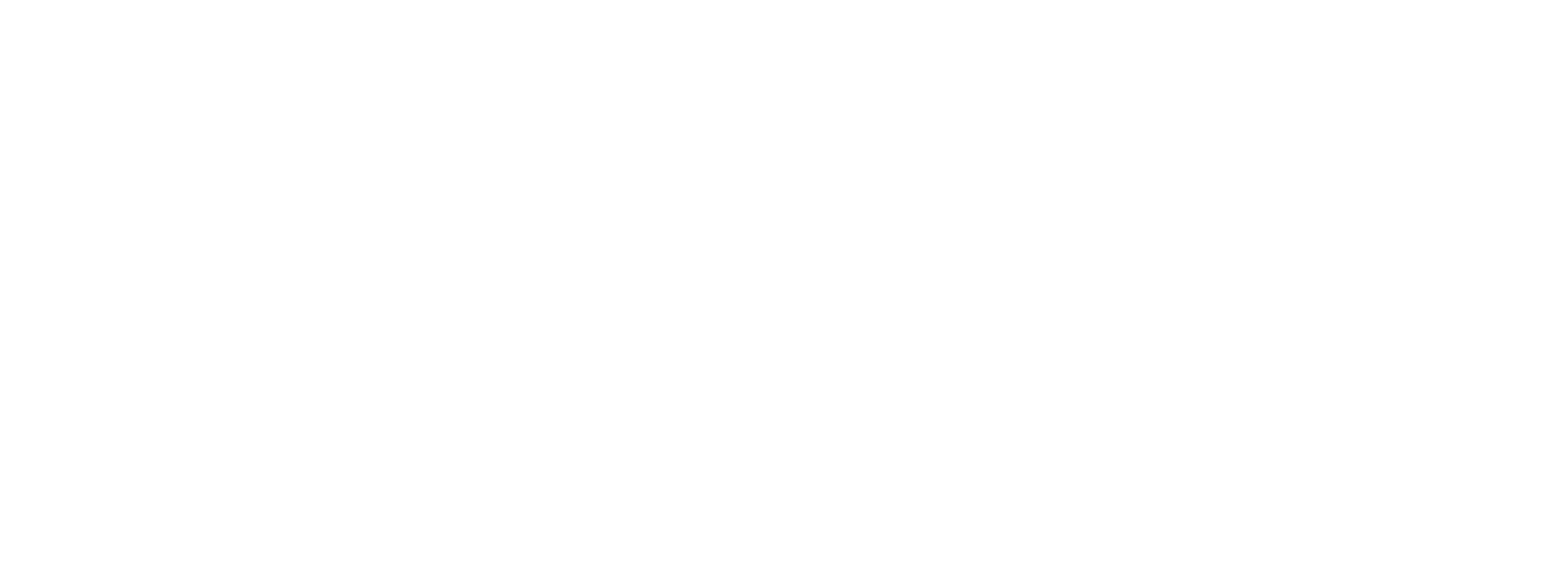Blank white rectangle with a thin black border on the left and bottom edges