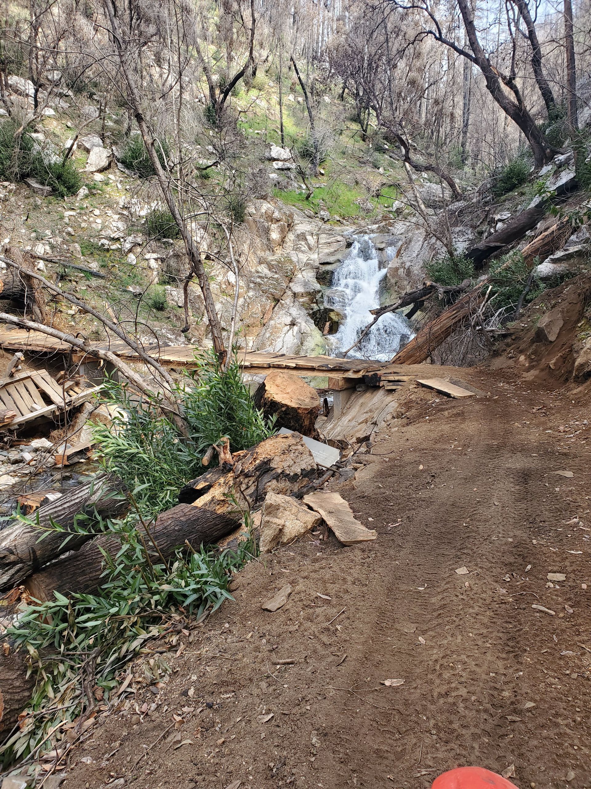 A dirt trail leads to a small waterfall cascading down a rocky hillside among charred, leafless trees.
