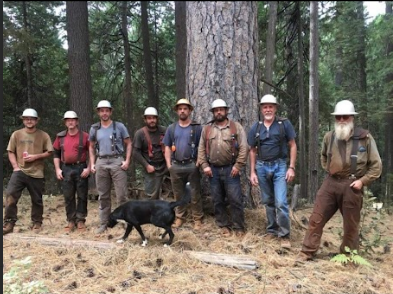 Eight people wearing hard hats and work clothes stand in a line in a forest near a large tree, with a black dog nearby.