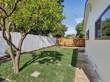 Backyard with a green lawn, white fence, and a tree casting a shadow on the grass, sunny day.