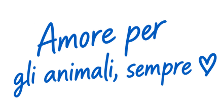 Blue handwritten Italian text reading “Amore per gli animali, sempre” with a heart symbol