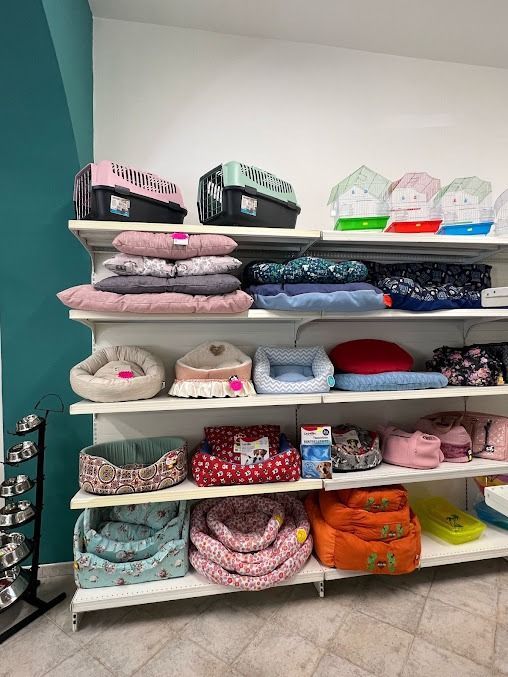 Scaffali pieni di cucce e coperte colorate per animali domestici in una vetrina di un negozio.