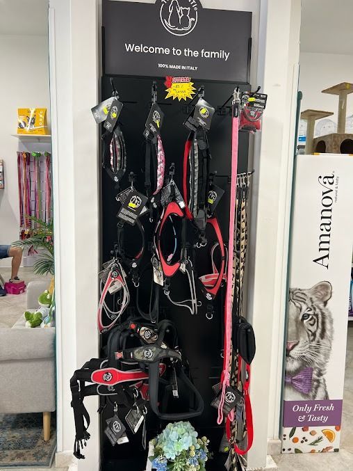 Espositore per guinzagli e pettorine per cani su una mensola nera a muro nell'ingresso di casa, con accanto una scatola di Amazon.
