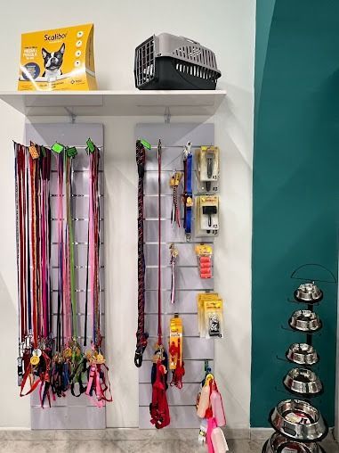 In un negozio, delle mensole a muro espongono guinzagli, collari e accessori per animali domestici dai colori vivaci.