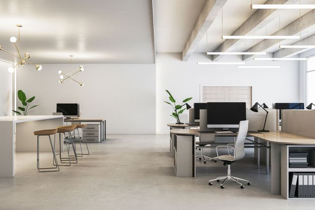 Bright minimalist open office with desks, chairs, computers, and potted plants