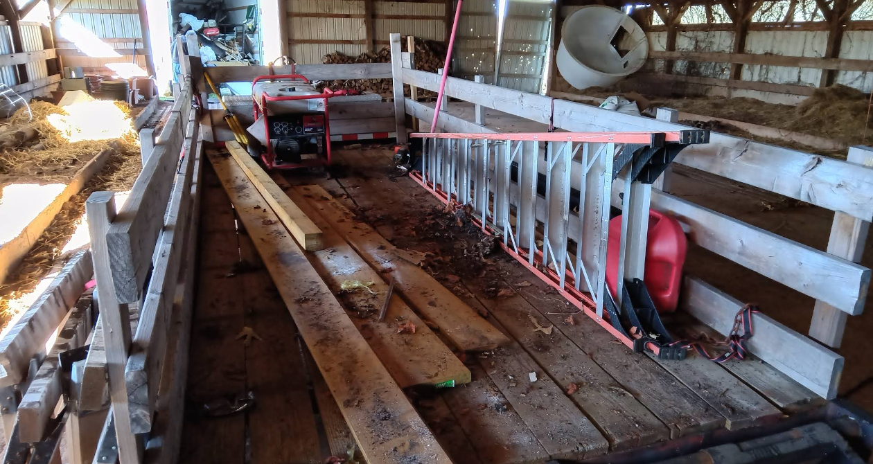 Inside a barn, a ramp with a ladder propped up on the side, surrounded by wooden walls.