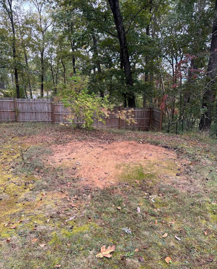 A freshly cleared, sandy area in a backyard with a wooden fence and trees in the background.