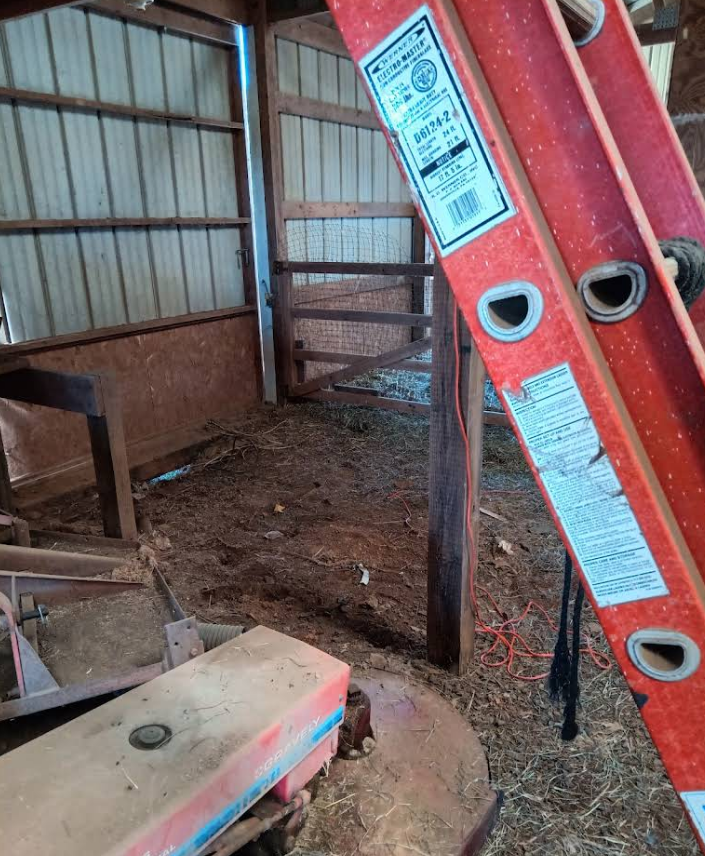 Red ladder leans in a barn interior. Hay, wooden beams, and a gate are visible.