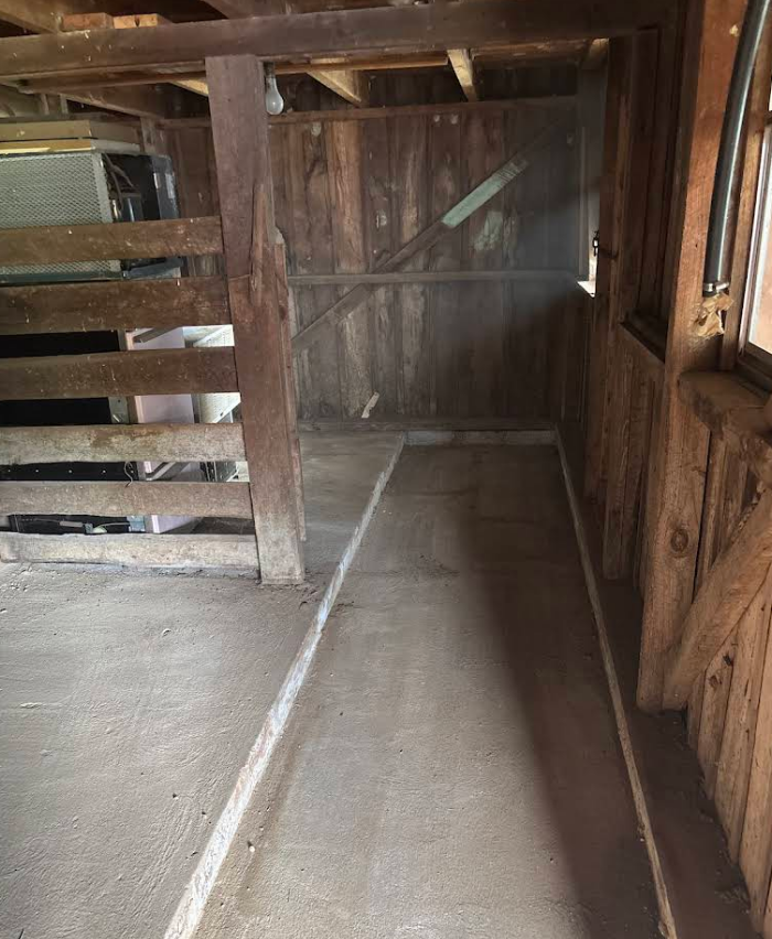Interior of a wooden barn, concrete floor, white line, wooden beams, sunlight.