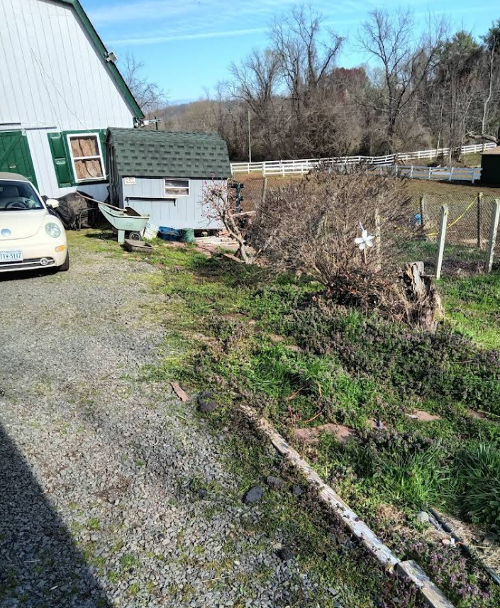 Yellow car parked by barn and chicken coop on a gravel driveway. Green grass and bushes in front, blue sky.