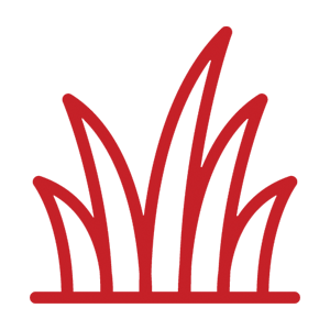 Grass Icon — Charleston, WV — Ace Services LLC