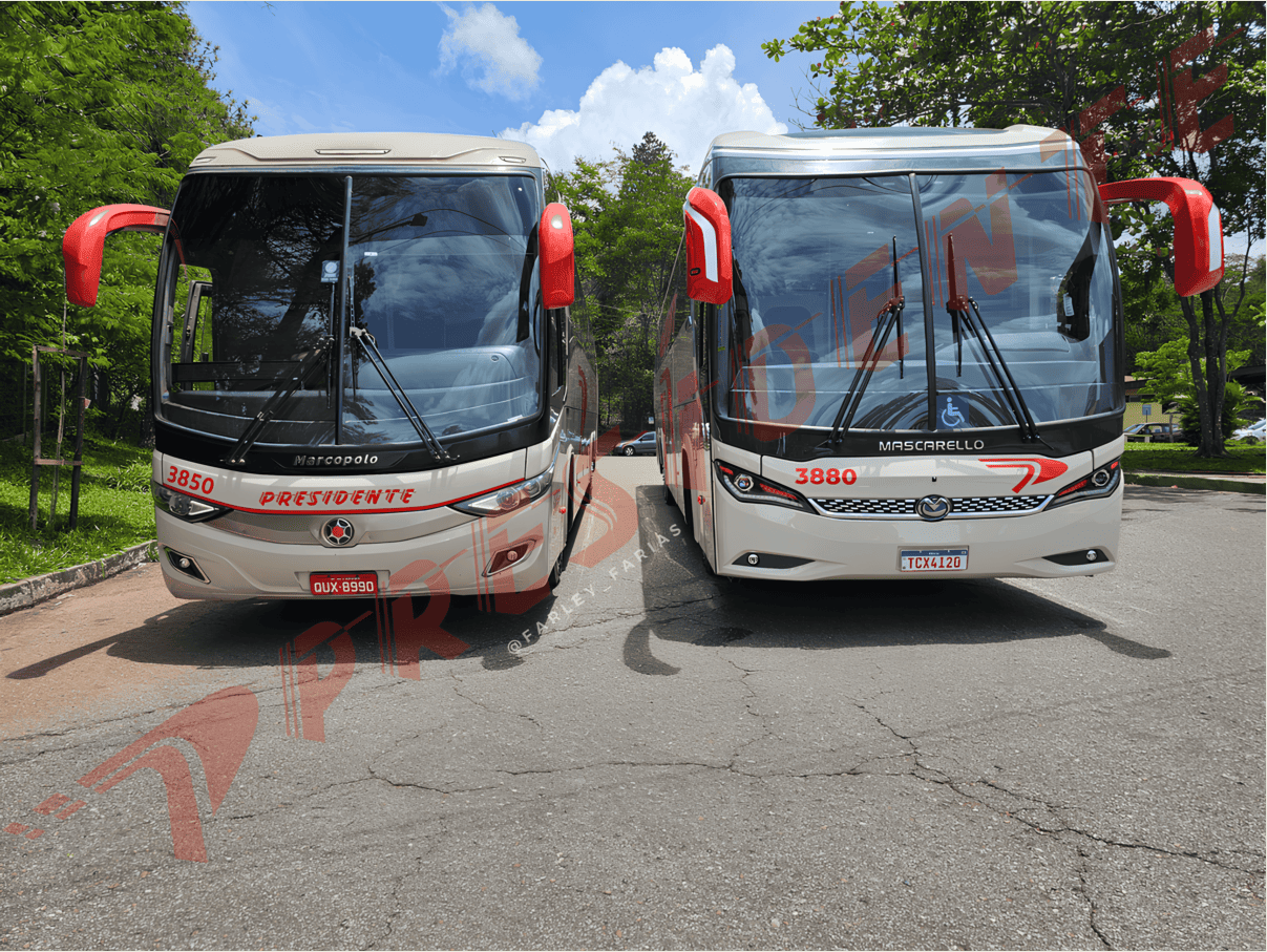 Dois ônibus turísticos vermelhos e brancos estacionados lado a lado à beira da estrada sob um céu azul.