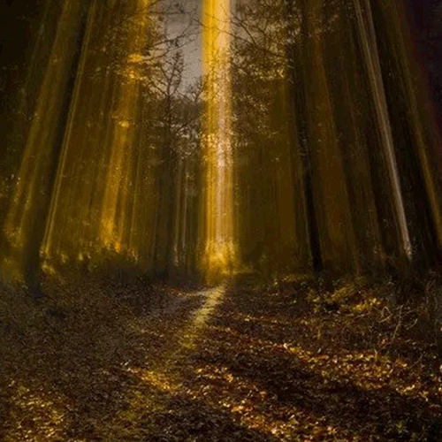 Your Favorite Photos of 2022