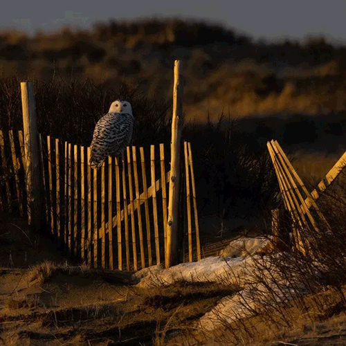 2022 Photographic Invitational