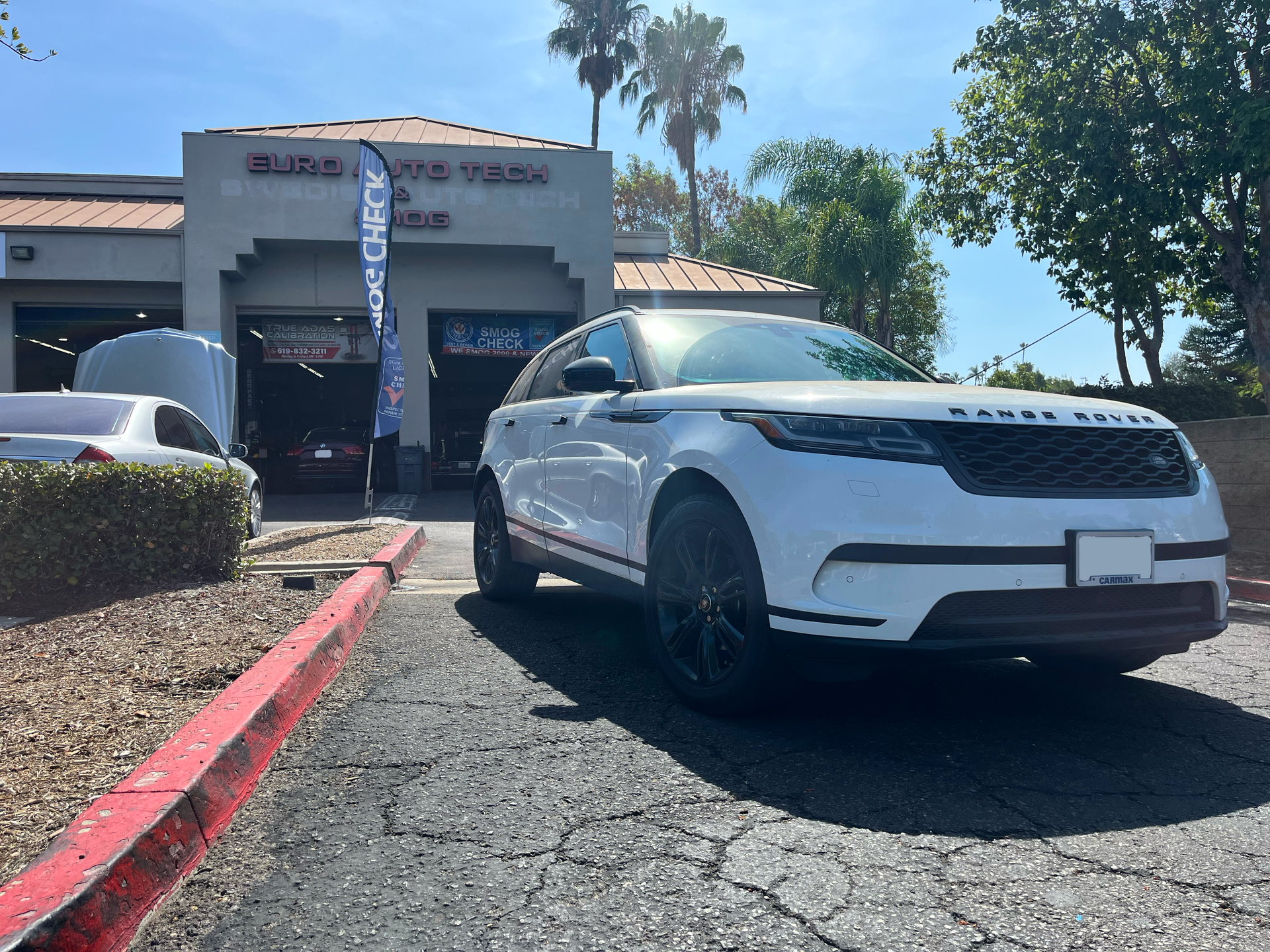 White SUV parked outside a building on a sunny day, with palm trees and a red curb nearby.