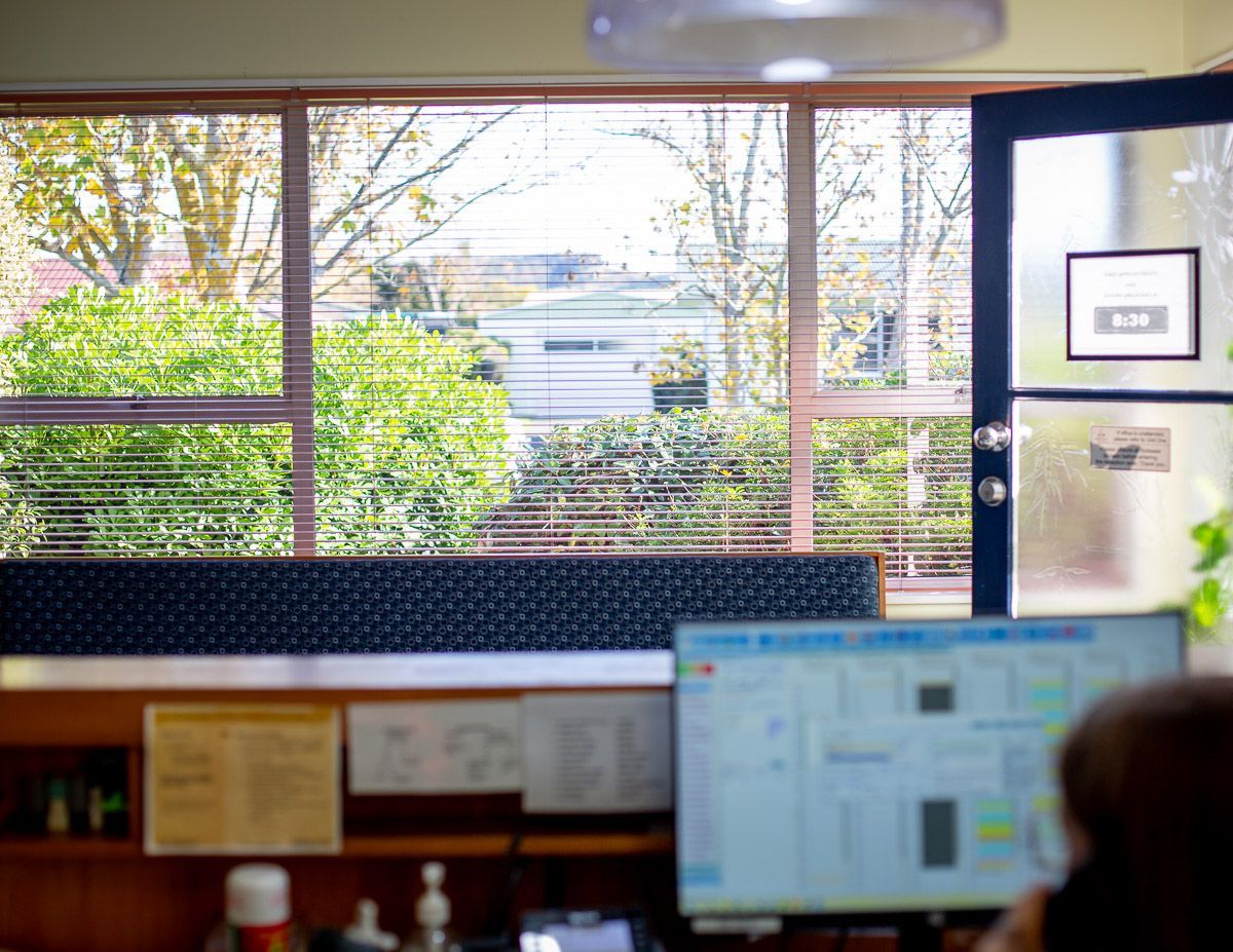 Office desk facing large windows with greenery outside, and a computer monitor in the foreground
