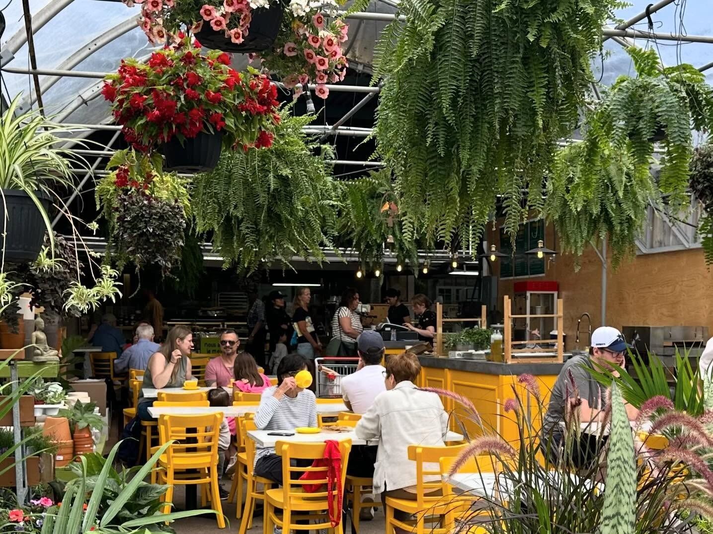 Des clients dînent à des tables jaune vif dans un café-serre luxuriant orné de fleurs et de plantes suspendues.
