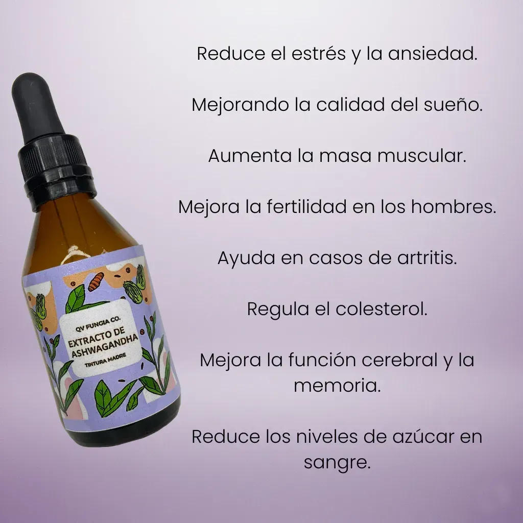 Botella de extracto de Ashwagandha con raíces sobre un pedestal, sobre un fondo rosa.