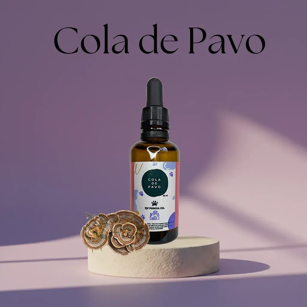 Botella marrón de líquido 