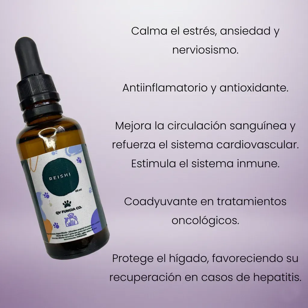 Botella de extracto de hongo Reishi con setas y pedestal sobre fondo morado.