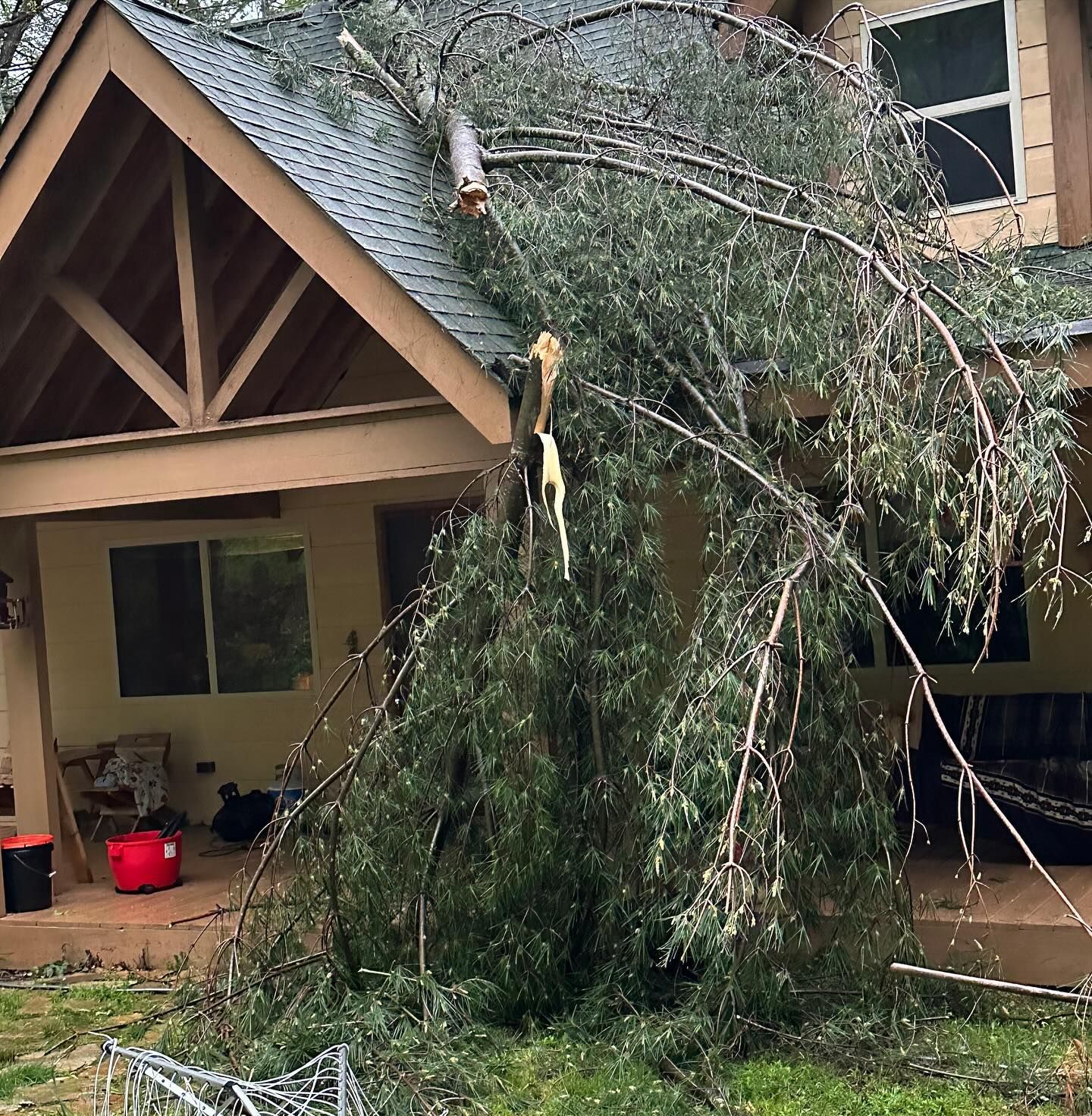 A large fallen tree leans onto a house, crushing the porch roof and front yard.