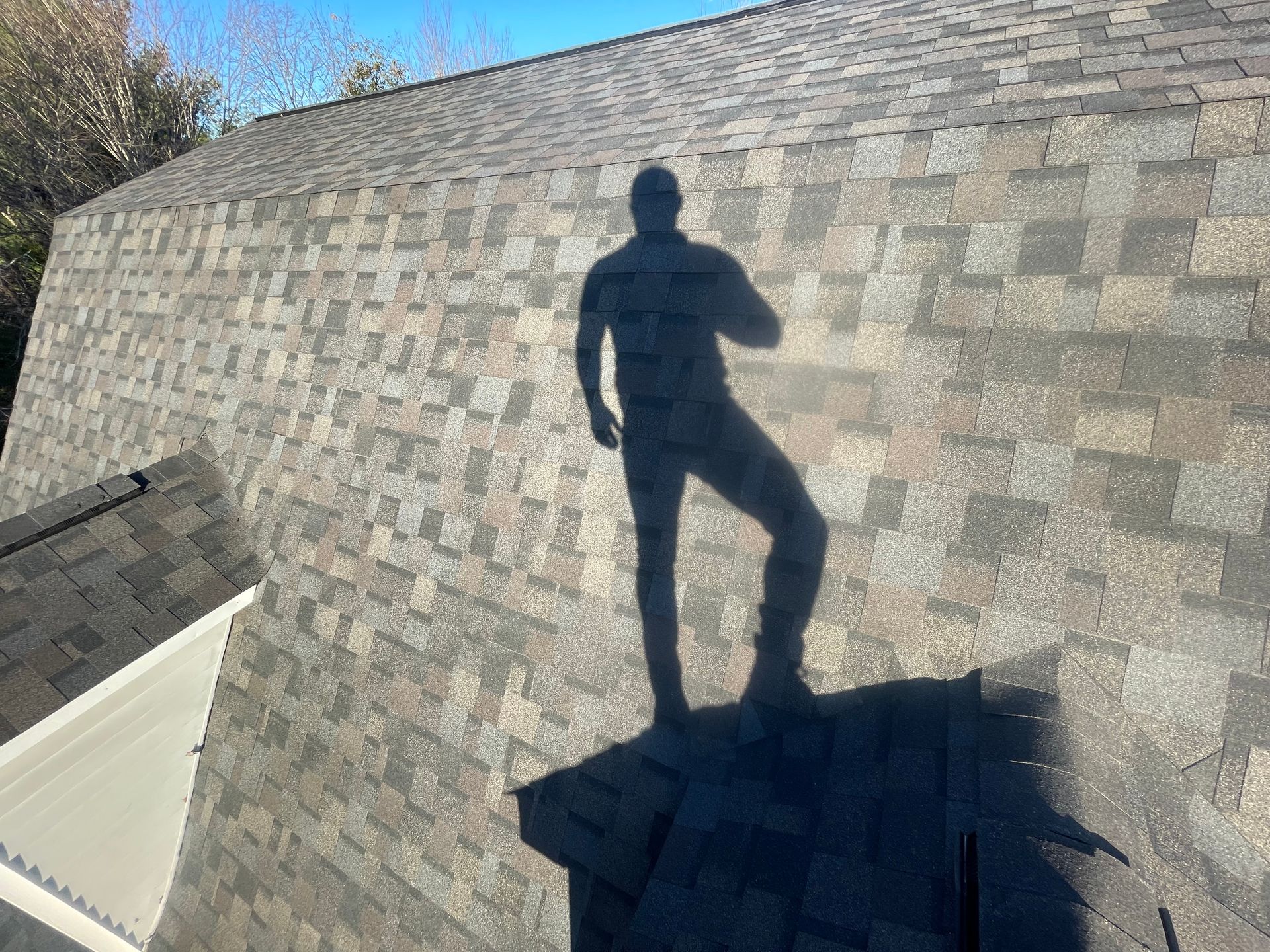 Shadow of a person standing on a shingled roof in bright sunlight.
