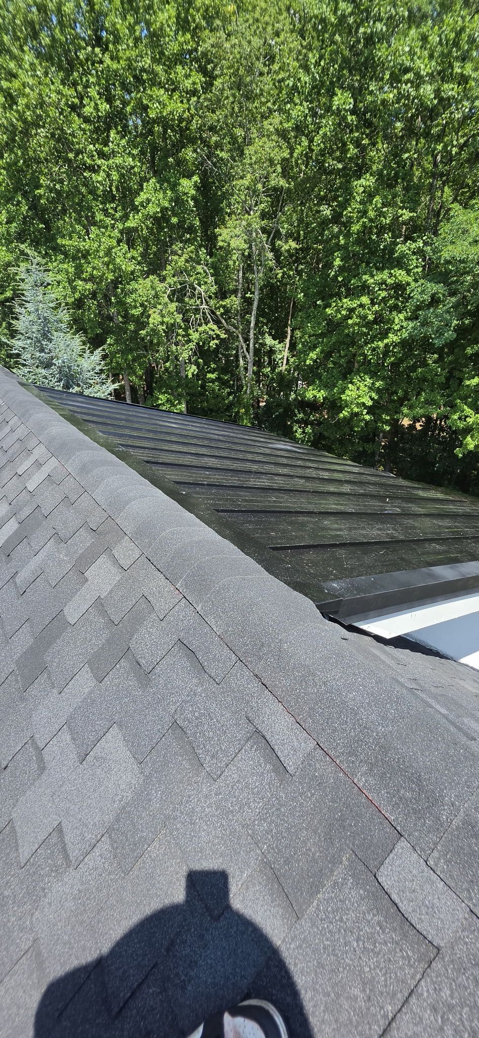 Gray shingled roof beside dense green trees, with a shadow in the foreground